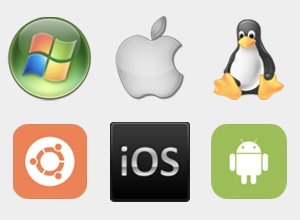 Software and Apps Localization