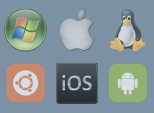 Software Localization Services